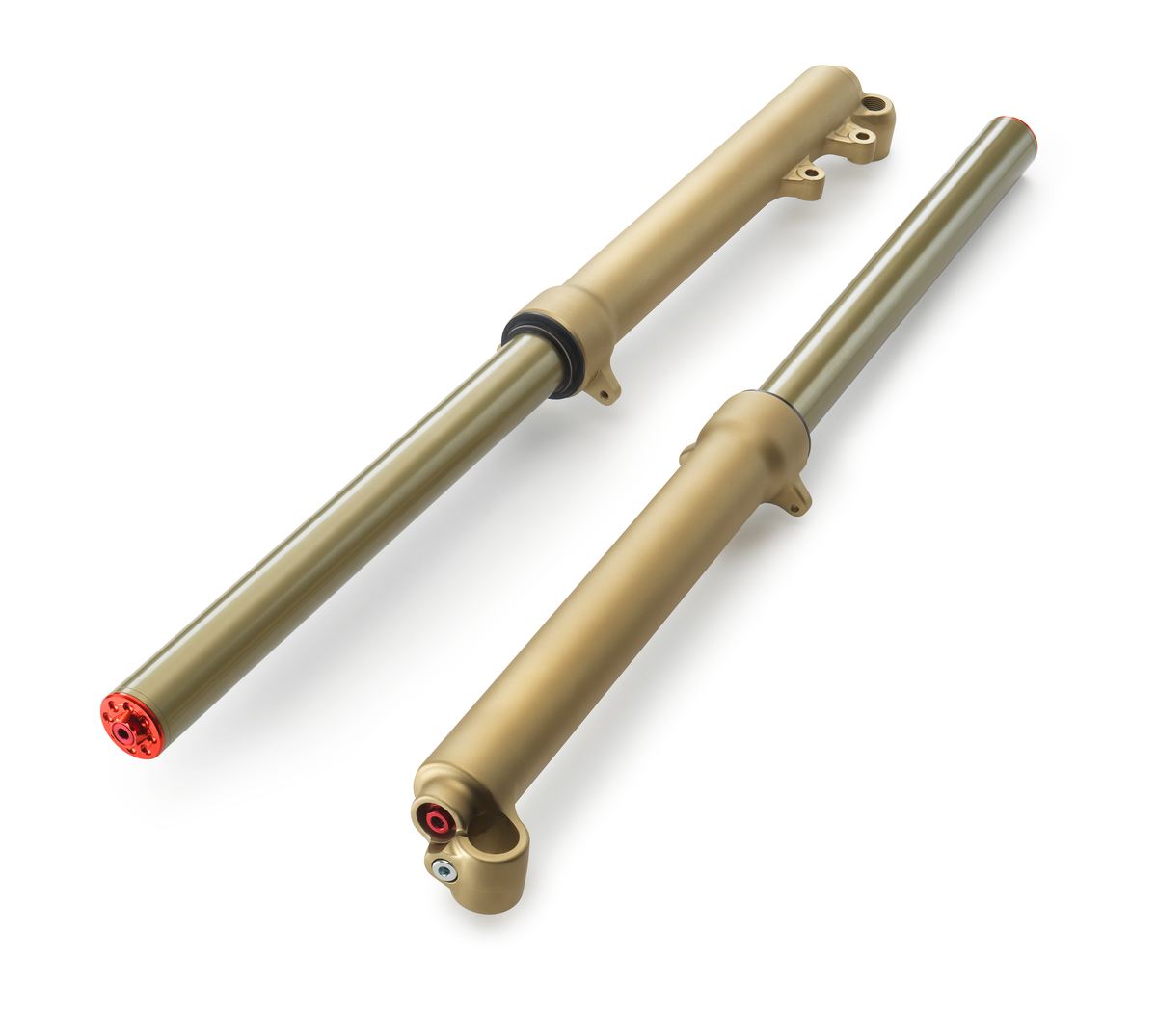 Fork | BT20000GG-CKR-1